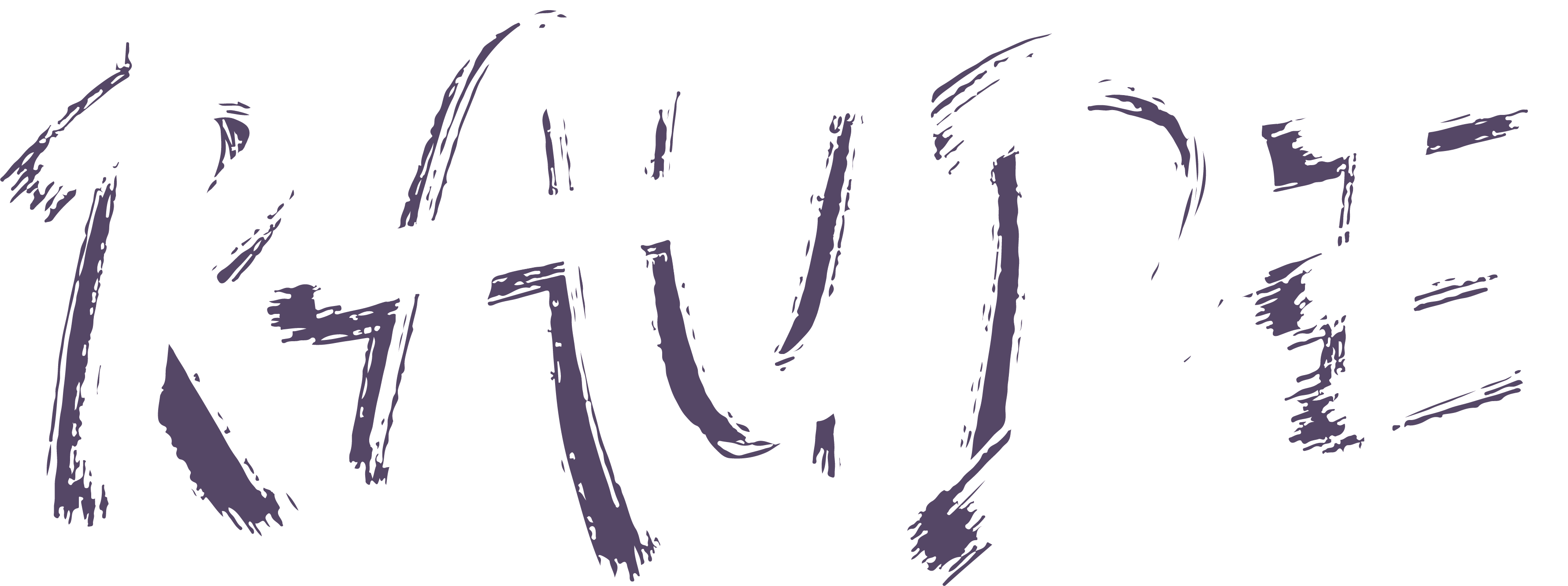 Raude - Typographie du groupe